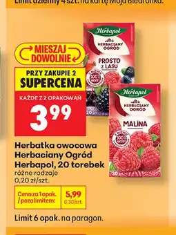 Biedronka Herbatka owocowa Herbaciany Ogród Herbapol Prosto z lasu oferta