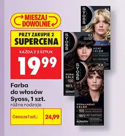 Biedronka Farba do włosów Syoss 8,5 oferta