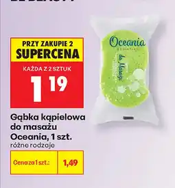 Biedronka Gąbka kąpielowa do masażu Oceania 1-pak oferta
