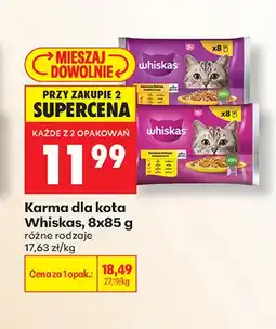 Biedronka Karma dla kota Whiskas oferta