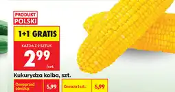 Biedronka Kukurydza kolba, szt oferta