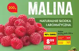 Biedronka Malina polska, opak oferta