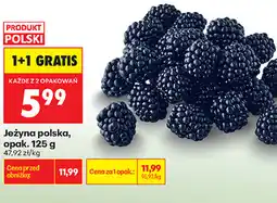 Biedronka Jeżyna polska, opak oferta