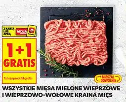 Biedronka Wszystkie mięsa mielone wieprzowe i wieprzowo-wołowe Kraina Mięs oferta