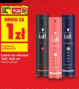 Biedronka Lakier do włosów Taft oferta