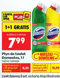 Biedronka Płyn do toalet Domestos oferta