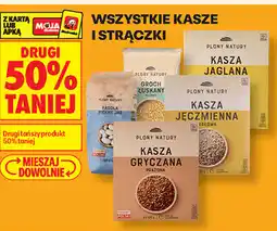 Biedronka Wszystkie kasze i strączki Plony Natury oferta