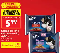 Biedronka Karma dla kota Felix Fantastic oferta