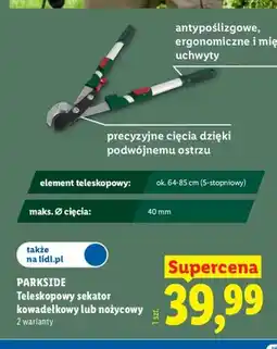 Lidl Teleskopowy sekator nożycowy Parkside oferta