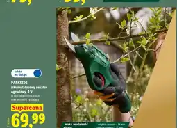 Lidl Akumulatorowy sekator ogrodowy Parkside oferta