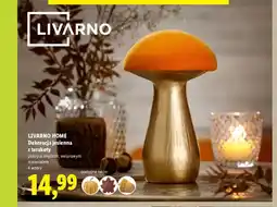 Lidl Dekoracja jesienna z terakoty Livarno Home oferta