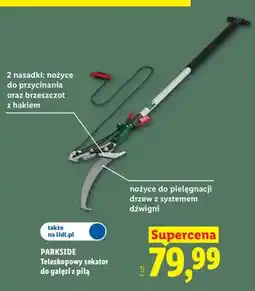 Lidl Teleskopowy sekator do gałęzi z piłą Parkside oferta