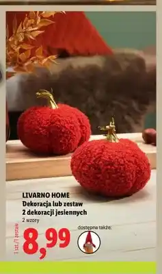 Lidl Dekoracja lub zestaw dekoracji jesiennych Livarno Home oferta