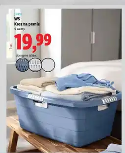 Lidl Kosz na pranie W5 oferta