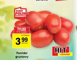 Gram Market Pomidor gruntowy oferta