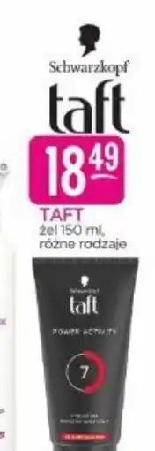 Jaśmin Schwarzkopf taft oferta