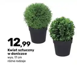 Bricomarche Kwiat sztuczny w doniczce oferta
