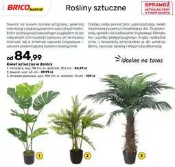 Bricomarche Kwiat sztuczny w donicy oferta