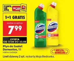 Biedronka DOMESTOS oferta