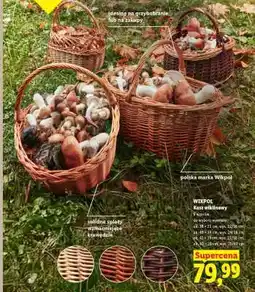 Lidl WIKPOL Kosz wiklinowy oferta