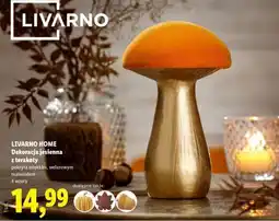 Lidl LIVARNO HOME Dekoracja jesienna oferta