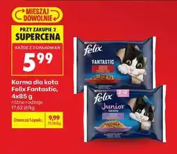 Biedronka Felix Fantastic oferta