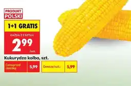 Biedronka Kukurydza kolba szt oferta