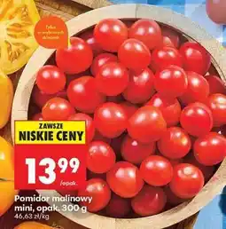 Biedronka Pomidor malinowy mini opak . 300 g oferta