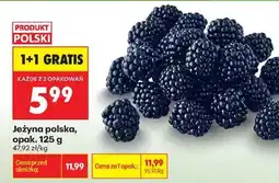 Biedronka Jeżyna polska, opak. 125 g oferta