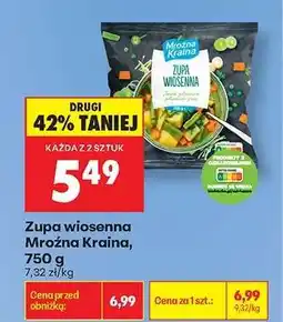 Biedronka Zupa wiosenna Mroźna Kraina, 750 g oferta