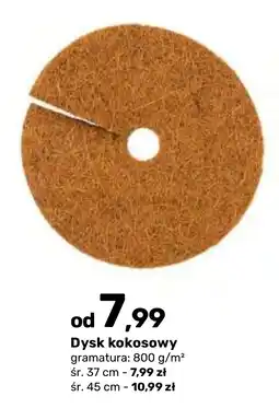 Bricomarche Dysk kokosowy oferta