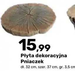 Bricomarche Płyta dekoracyjna Pniaczek oferta