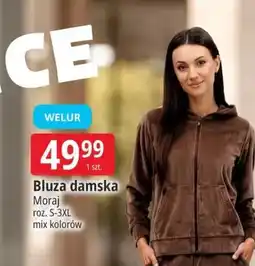 E.Leclerc Bluza damska Moraj oferta