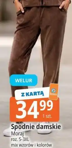 E.Leclerc Spodnie damskie Moraj oferta