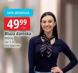 E.Leclerc Bluza damska Moraj oferta