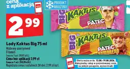 Topaz Lody Kaktus Big oferta
