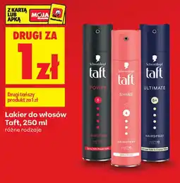 Biedronka Lakier do włosów Taft oferta
