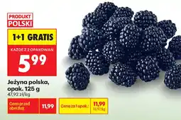 Biedronka Jeżyna polska oferta
