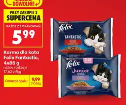 Biedronka Karma dla kota Felix Fantastic oferta