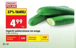 Biedronka Ogórki szklarniowe oferta