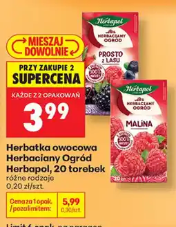 Biedronka Herbatka owocowa Herbaciany Ogród Herbapol oferta