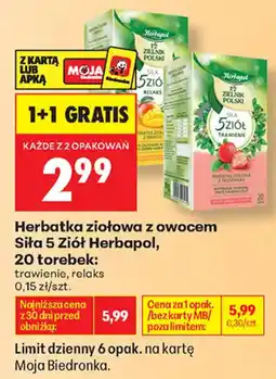 Biedronka Herbatka ziołowa z owocem Siła 5 Ziół Herbapol oferta