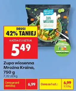 Biedronka Zupa wiosenna Mroźna Kraina oferta