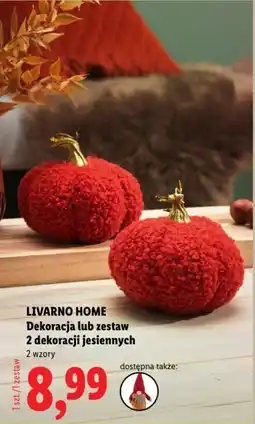 Lidl LIVARNO HOME Dekoracja lub zestaw 2 dekoracji jesiennych 2 wzory oferta