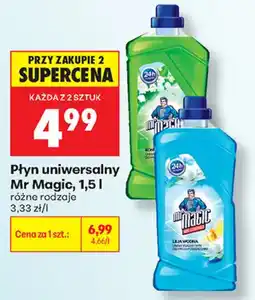 Biedronka Płyn uniwersalny Mr Magic oferta
