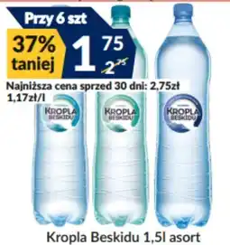Sużyw Kropla Beskidu oferta
