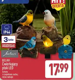ALDI BELAVI Ćwierkający ptak LED oferta