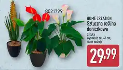 ALDI HOME CREATION Sztuczna roślina doniczkowa oferta