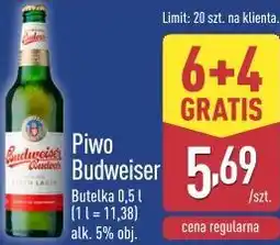 ALDI Piwo Budweiser oferta
