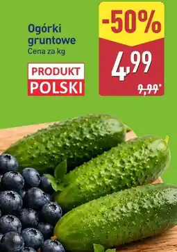 ALDI Ogórki gruntowe oferta
